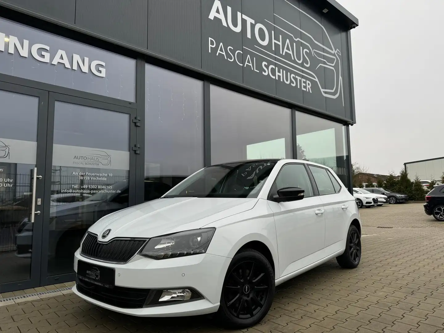 Skoda Fabia 1.0 TSI/TEMPOMAT/SHZ/KLIMAAUTOMATIK/PDC Blanc - 1