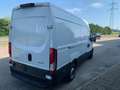 Iveco Daily 35S16 Kasten kurz L3H2 Weiß - thumbnail 10