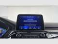 Ford Kuga ST-Line X 2.5 Duratec FHEV Auto Gris - thumbnail 32