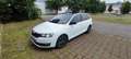 Skoda Rapid/Spaceback Rapid Spaceback 1.2 TSI (Green tec) Cool Edition - thumbnail 1