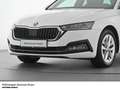 Skoda Octavia Combi Style TDI LED AHK Navi Keyless Weiß - thumbnail 7
