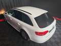 Audi A4 Attraction *PDC*TEMPOMAT*8-fach-bereift* Weiß - thumbnail 18