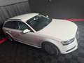 Audi A4 Attraction *PDC*TEMPOMAT*8-fach-bereift* Weiß - thumbnail 6