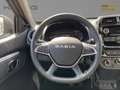 Dacia Spring Essential ELECTRIC 45 KLIMA Klima Grau - thumbnail 8