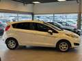 Ford Fiesta Individual | Teilleder | Kamera | SHZ |ST Weiß - thumbnail 5