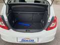 Opel Corsa Corsa 5p 1.3 75CV - OK NEOPATENTATI! Bianco - thumbnail 12