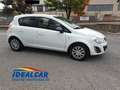 Opel Corsa Corsa 5p 1.3 75CV - OK NEOPATENTATI! Bianco - thumbnail 3