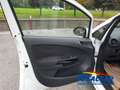 Opel Corsa Corsa 5p 1.3 75CV - OK NEOPATENTATI! Bianco - thumbnail 5