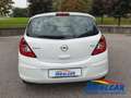 Opel Corsa Corsa 5p 1.3 75CV - OK NEOPATENTATI! Bianco - thumbnail 4