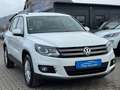 Volkswagen Tiguan 1.4 TSI Trend & Fun BMT++Garantie++ Weiß - thumbnail 4