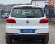 Volkswagen Tiguan 1.4 TSI Trend & Fun BMT++Garantie++ Weiß - thumbnail 7