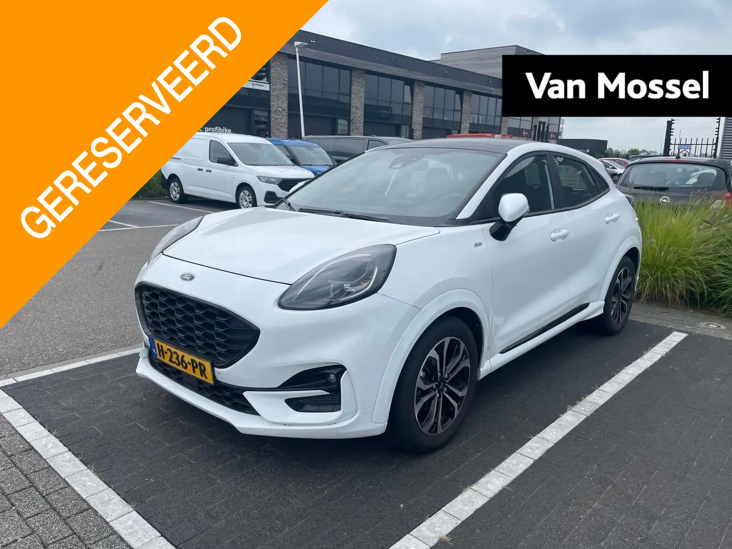 Ford Puma 1.0 EcoBoost Hybrid ST-Line Panoramadak - Winter P Blanc - 1