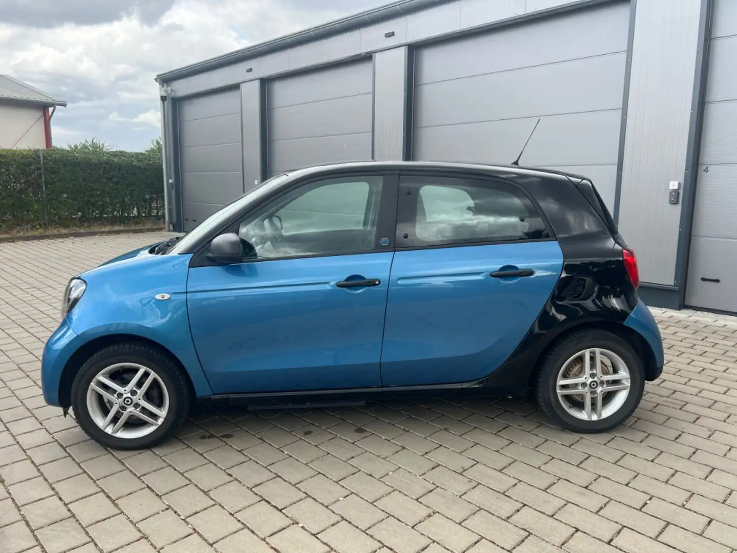 smart forFour electric drive / EQ SH 22KW CarPlay PDC Blau - 2