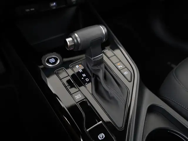 Kia Niro view 11