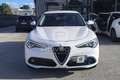 Alfa Romeo Stelvio Stelvio 2.2 Turbodiesel 180 CV AT8 RWD Executive Bianco - thumbnail 2