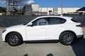 Alfa Romeo Stelvio Stelvio 2.2 Turbodiesel 180 CV AT8 RWD Executive Bianco - thumbnail 8