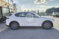 Alfa Romeo Stelvio Stelvio 2.2 Turbodiesel 180 CV AT8 RWD Executive Bianco - thumbnail 4
