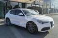 Alfa Romeo Stelvio Stelvio 2.2 Turbodiesel 180 CV AT8 RWD Executive Bianco - thumbnail 3
