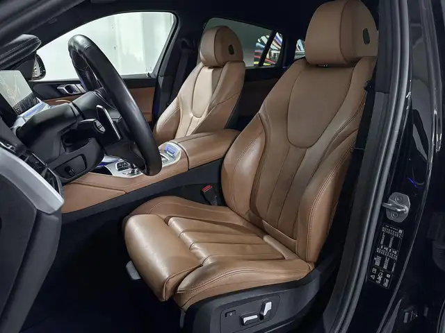 BMW X6 view 9