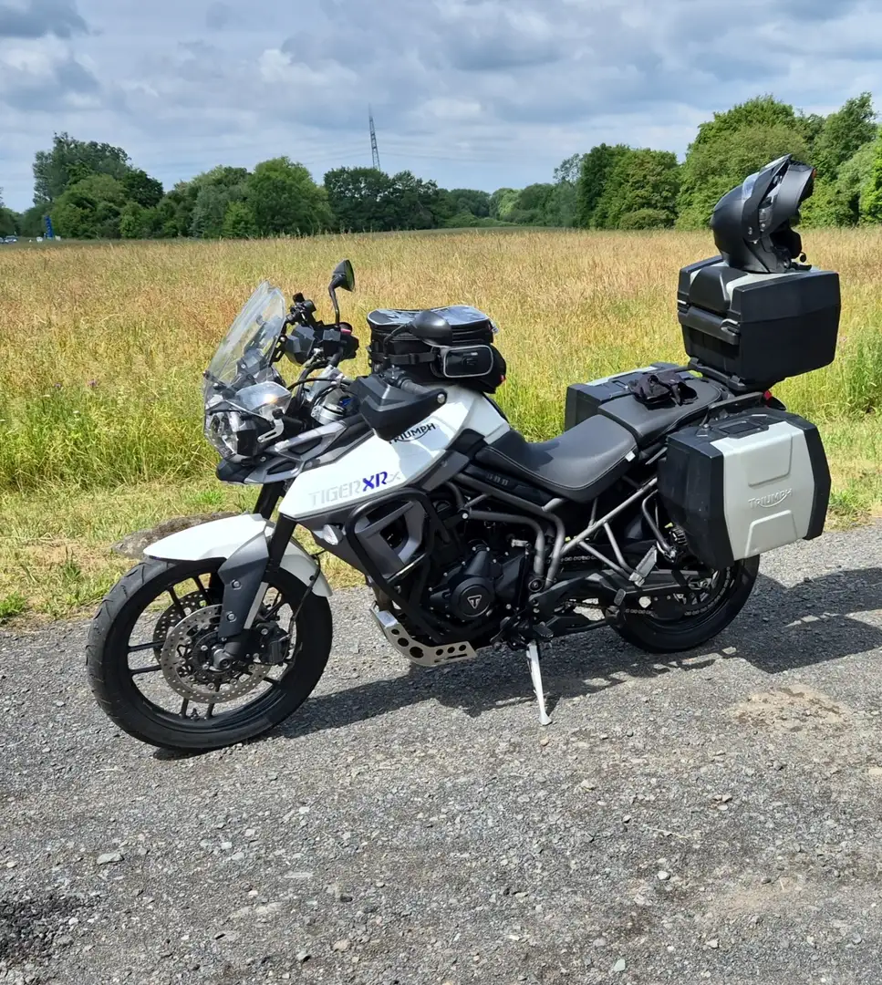 Triumph Tiger 800 XRX Alb - 1