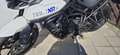 Triumph Tiger 800 XRX Alb - thumbnail 6
