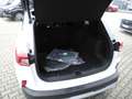 Ford Kuga 2.5 PHEV ACTIVE X - AHK, Allwetter, Matrix LED Weiß - thumbnail 7