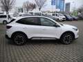 Ford Kuga 2.5 PHEV ACTIVE X - AHK, Allwetter, Matrix LED Weiß - thumbnail 4