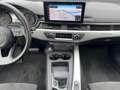 Audi A4 45 TFSI Advanced quattro Standhz. AHZV Gris - thumbnail 10
