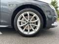 Audi A4 45 TFSI Advanced quattro Standhz. AHZV Gris - thumbnail 13