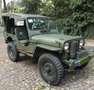 Jeep Willys Zielony - thumbnail 3