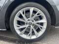 Audi A5 Sportback 40 TFSI Advanced S tronic Gris - thumbnail 29