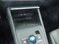 Volkswagen Tiguan Friends TDI 4MOTION DSG Grau - thumbnail 13