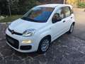 Fiat Panda Panda III 2016 1.0 hybrid Easy s Bianco - thumbnail 1