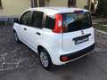 Fiat Panda Panda III 2016 1.0 hybrid Easy s Bianco - thumbnail 3