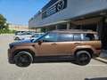 Hyundai SANTA FE 1.6 Hev 4wd 7 posti Xclass + Calligraphy + Sunroof Marrone - thumbnail 2