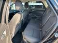 Ford Focus 1,0 *KLIMA*NAVI*WINTER-PAKET*ZAHNRIEN NEU Noir - thumbnail 10
