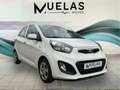 Kia Picanto 1.0 Concept Weiß - thumbnail 1