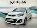 Kia Picanto 1.0 Concept Weiß - thumbnail 23