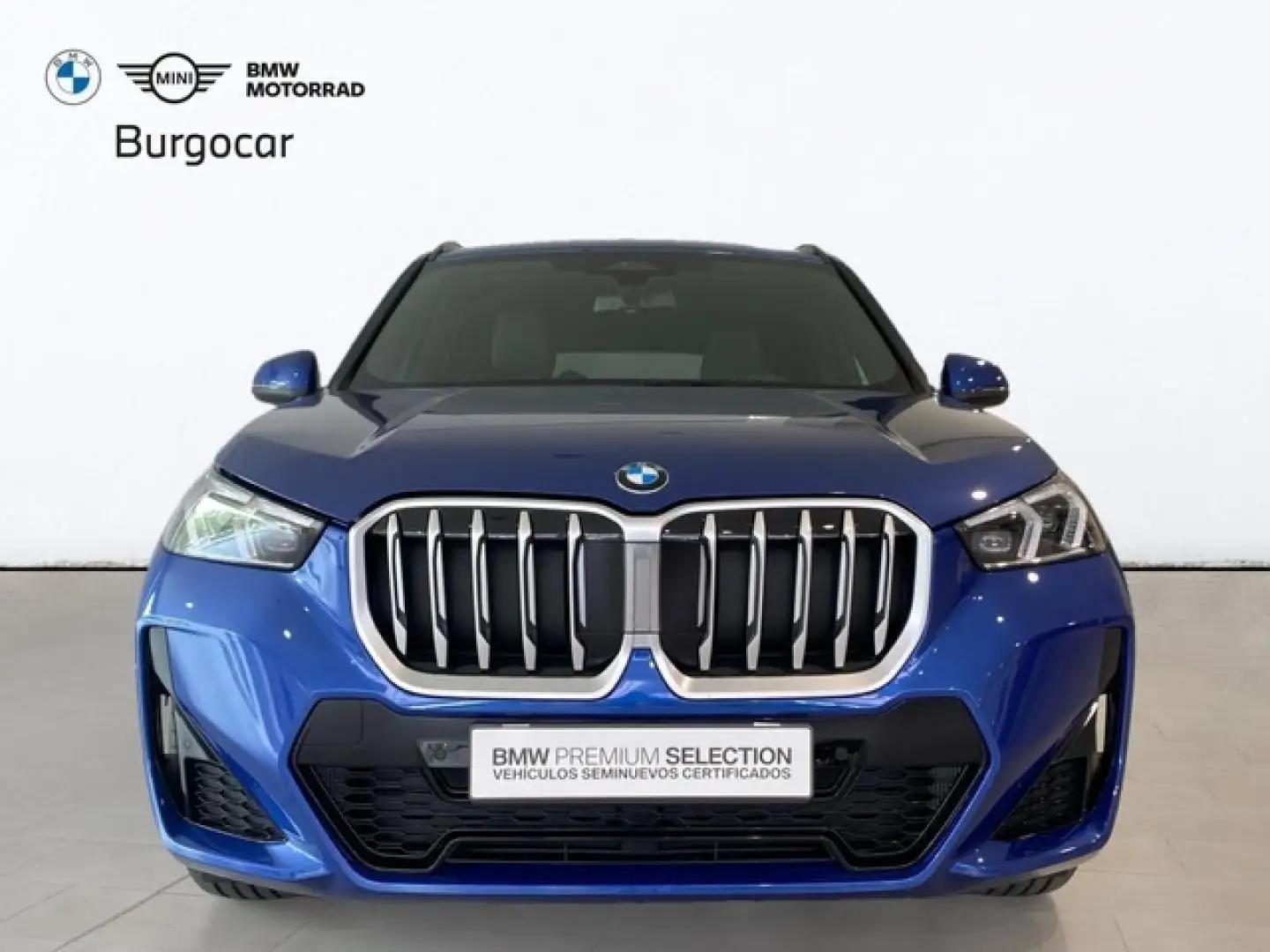 BMW X1 xDrive 20dA Azul - 2