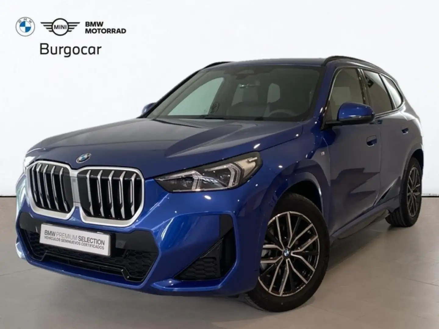 BMW X1 xDrive 20dA Azul - 1