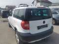 Skoda Yeti Ambition Weiß - thumbnail 6