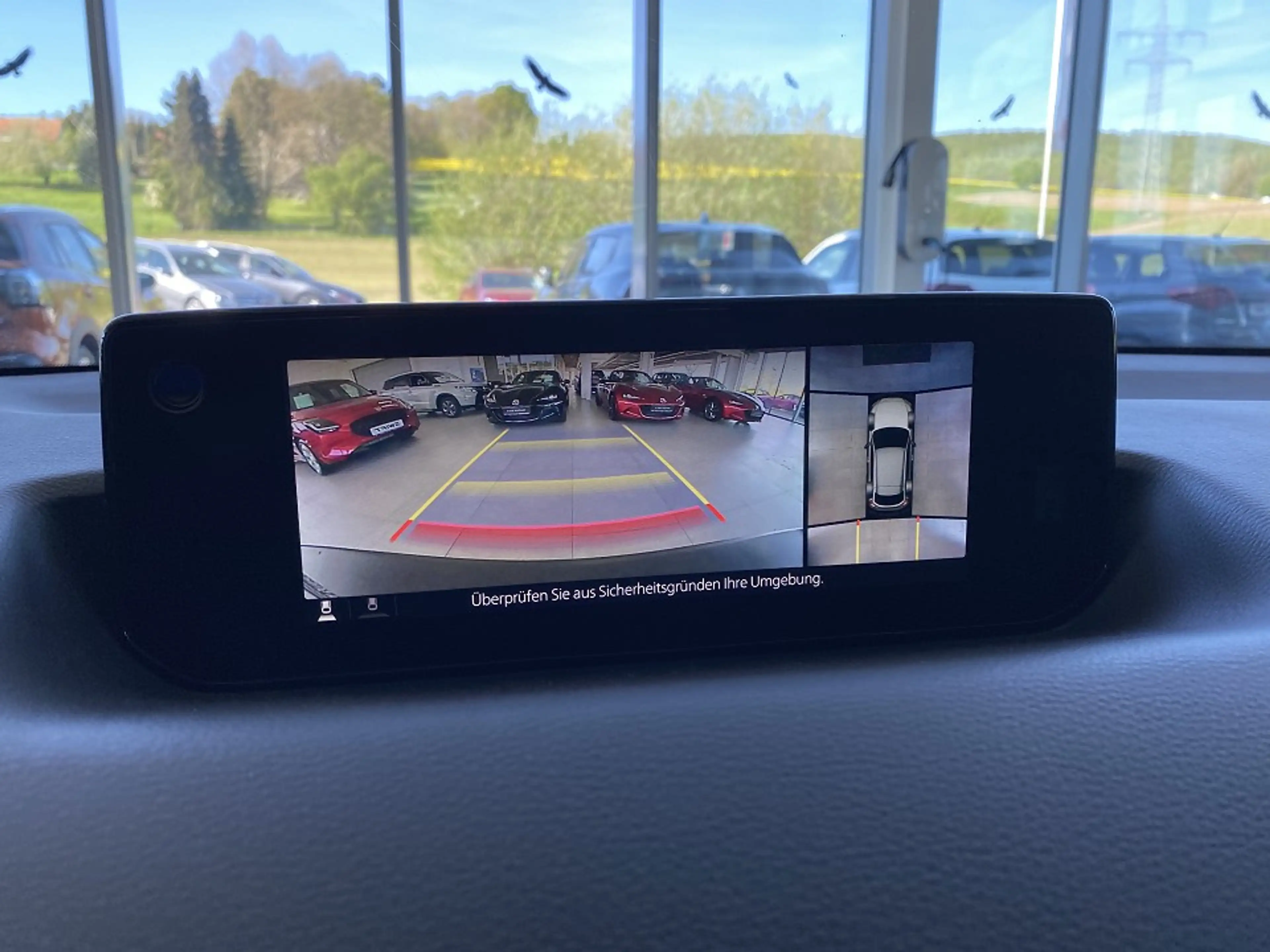 Mazda MX-30 R-EV Makoto Bose, Matrix, 360°, Schiebedach — photo 12
