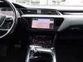 Audi e-tron e-tron 50 quattro Launch edition plus 71 kWh | Pan Gris - thumbnail 9