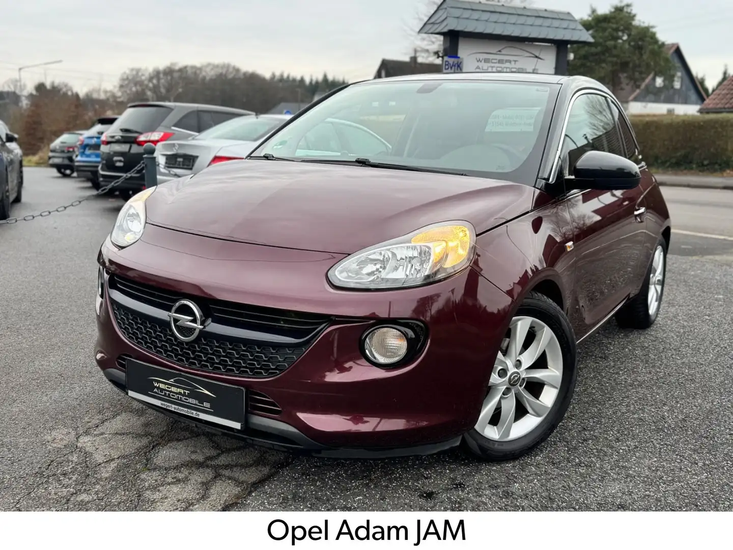 Opel Adam Jam ecoFlex* 1 HAND*INFINITY SOUND* Rouge - 1
