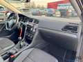 Volkswagen Golf VII 1,0 TSI IQ.Drive AHK ACC SHZ PDCv+h Schwarz - thumbnail 7