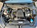 Volkswagen Golf VII 1,0 TSI IQ.Drive AHK ACC SHZ PDCv+h Schwarz - thumbnail 12
