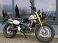 Fantic Caballero 500 Deluxe / Scrambler - mehr Farben - thumbnail 7