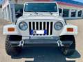 Jeep Wrangler Wrangler Soft Top 4.0 Sahara Bianco - thumbnail 10