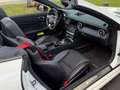 Mercedes-Benz SLC 200 Mercedes-AMG 43 Blanco - thumbnail 18