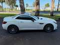 Mercedes-Benz SLC 200 Mercedes-AMG 43 Blanco - thumbnail 6